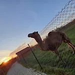 Appartamento Kudowskie Chatynki Caloroczne Mini Zoo Kudowa-Zdrój