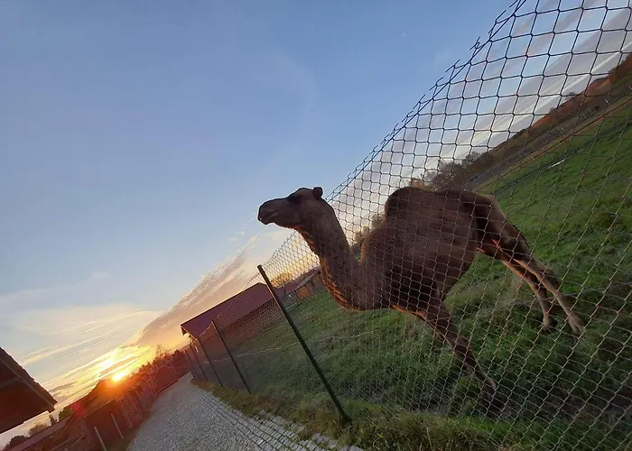 Appartamento Kudowskie Chatynki Caloroczne Mini Zoo Kudowa-Zdrój
